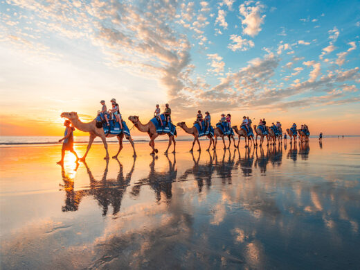 Cable Beach Camels Sunset Photo Print
