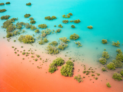 Roebuck Bay Mangroves drone photo aerial fine art framed print canvas