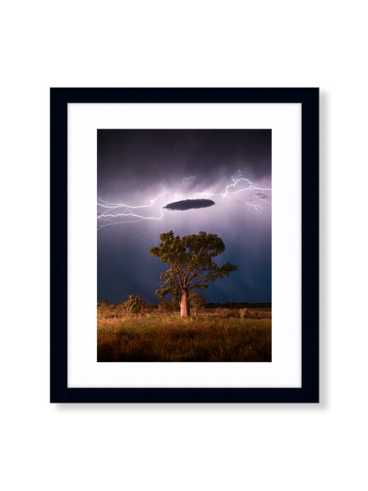 Broome Lightning Storm over a Boab Tree. Available as a fine art framed photo print.