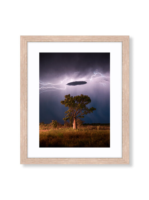 Broome Lightning Storm over a Boab Tree. Available as a fine art framed photo print.