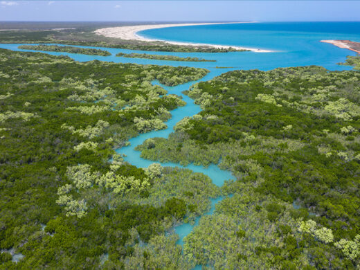 Barred Creek Mangroves and Beach in Broome Western Australia Drone
